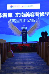 天使翅膀道具活動啟動方案 型號規(guī)格與會務服務全解析