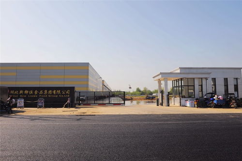 關口前移 服務先行——總口管理區為新員工入廠筑牢疫情防控與公關禮儀雙防線